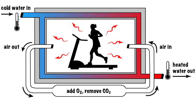 direct calorimetry during exercise