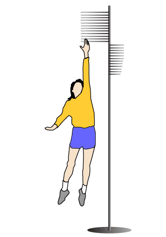 vertical jump