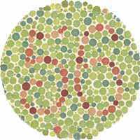 Color Blind Test