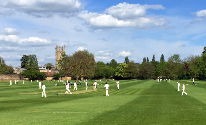 cricket batting