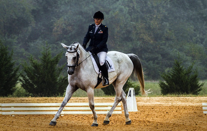 equestrian dressage