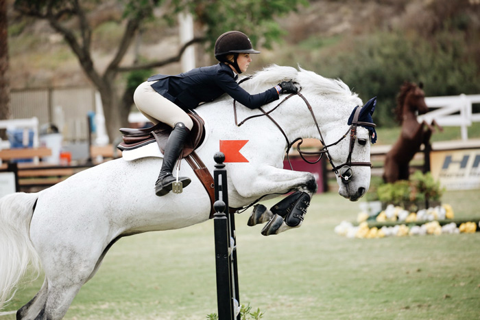 equestrian jumping