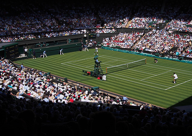 Federer at Wimbeldon
