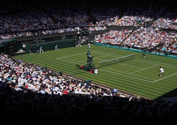 federer at wimbledon