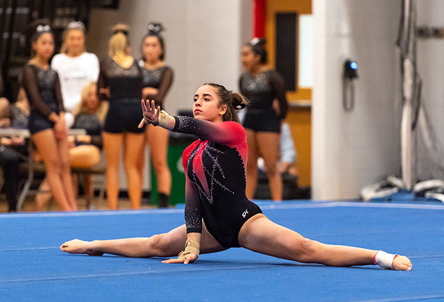 women's gymnastics 