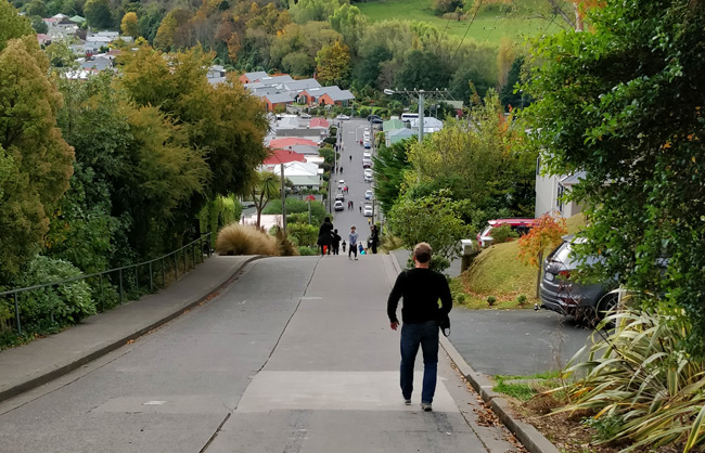 Baldwin Street, Dunedin - home of the annual jaffa race