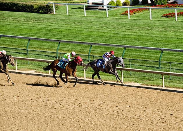 The Kentucky Derby 