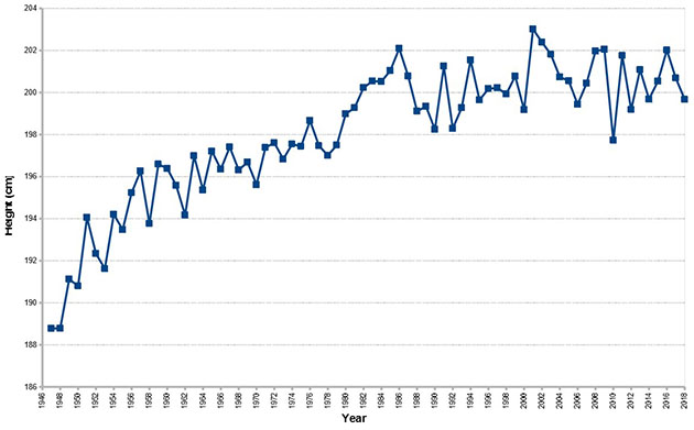 player height (cm) in rookie year