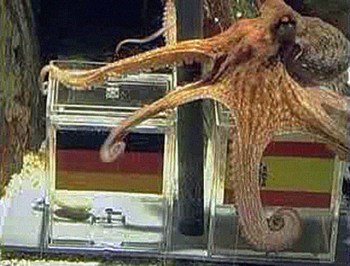 paul-the-octopus