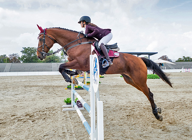 show jumping