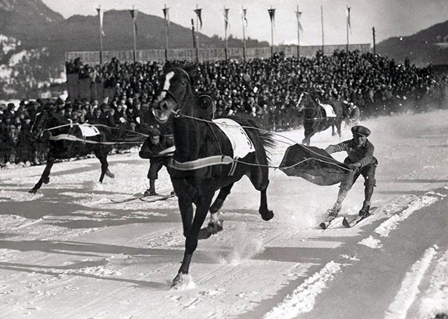 Skijøring with horses