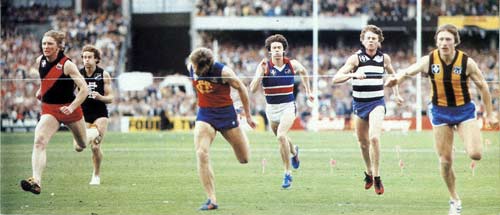 1980 vfl sprint