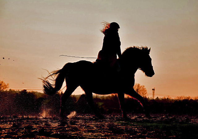 racing at sunset